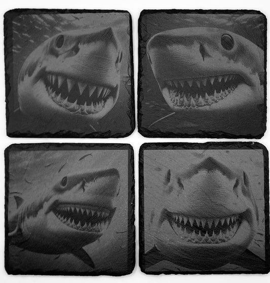 Shark Slate Coasters